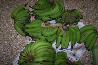 Green Banana