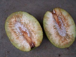 Breadfruit For Boiling