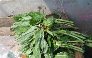 Plate of Callaloo