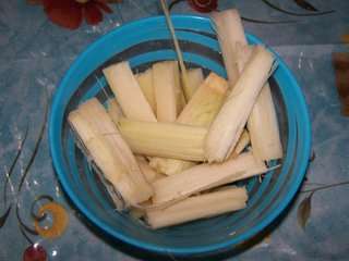 Cane Strip of Peel