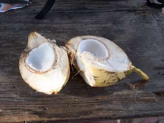 Coconut Meat (Coconut Jelly)